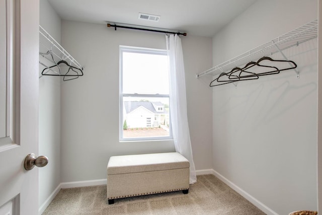 walk in closet with carpet floors