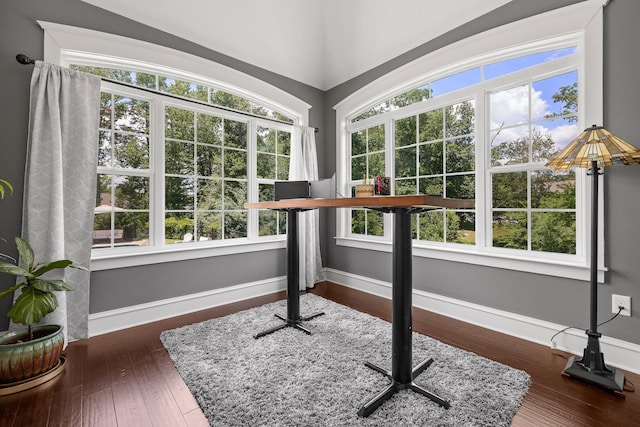 exercise room featuring a healthy amount of sunlight and dark wood-type flooring