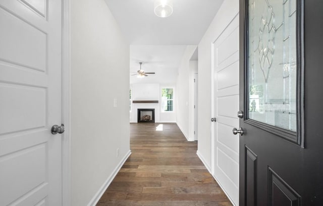 foyer entrance featuring dark wood-type flooring and ceiling fan