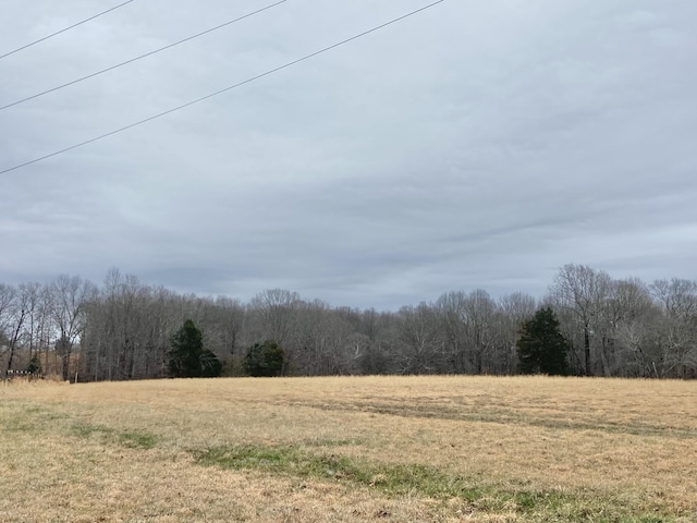 0 Chisholm Rd, Iron City TN, 38463 land for sale