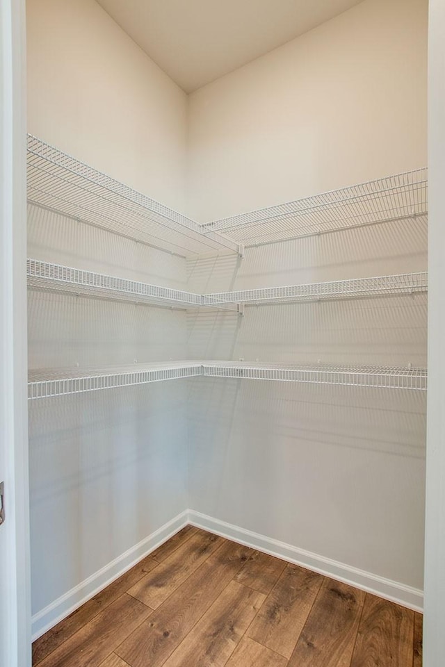 spacious closet with hardwood / wood-style floors