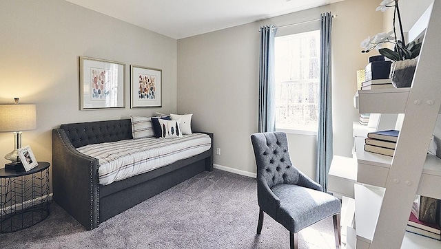 bedroom with carpet floors