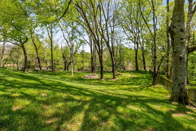 view of yard