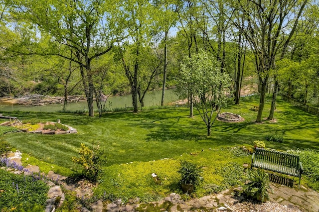 view of property's community featuring a water view and a yard