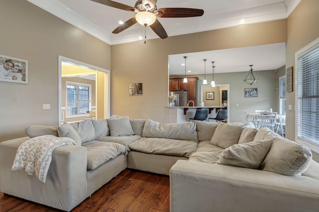 living room featuring ornamental molding, dark hardwood / wood-style floors, and ceiling fan