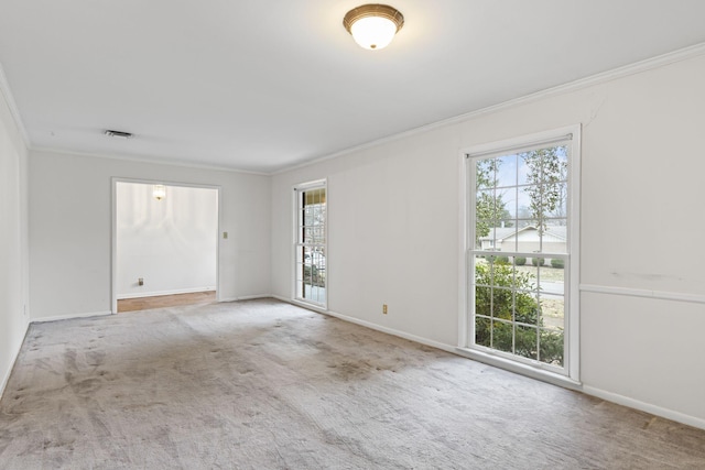 unfurnished room featuring crown molding and carpet flooring