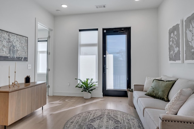 living room featuring light hardwood / wood-style flooring and a wealth of natural light