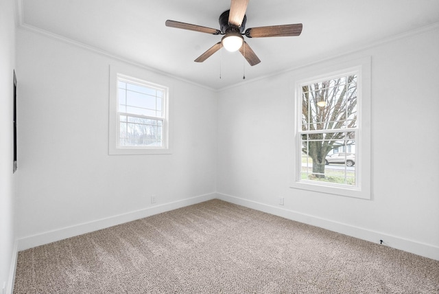 empty room with crown molding, ceiling fan, and carpet floors