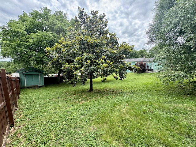1609 Turner St, Old Hickory, TN 37138 - view of yard