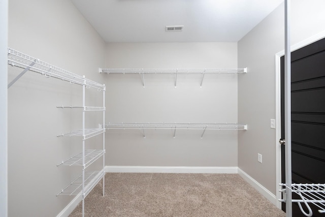 spacious closet featuring carpet