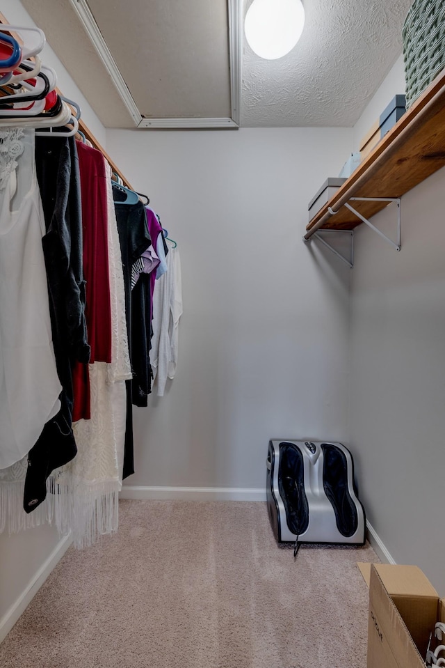 walk in closet with light colored carpet