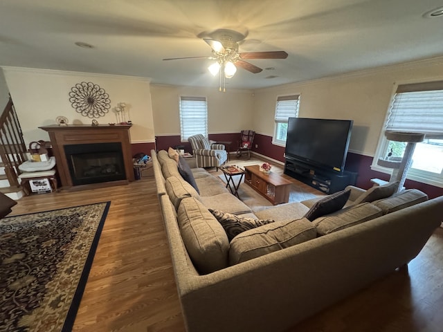 living room featuring crown molding, ceiling fan, and hardwood / wood-style floors