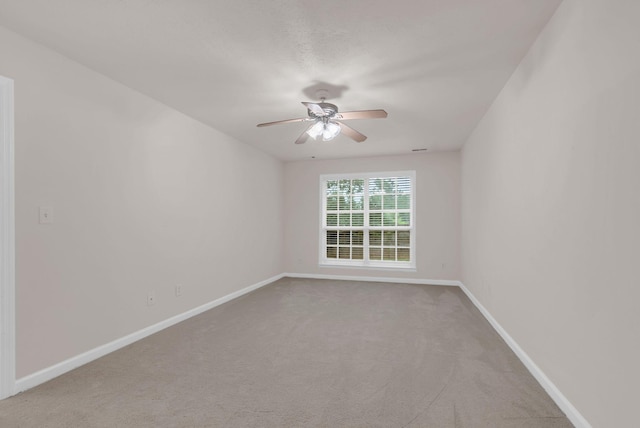 1771 University Dr, Columbia, TN 38401 - photo 18