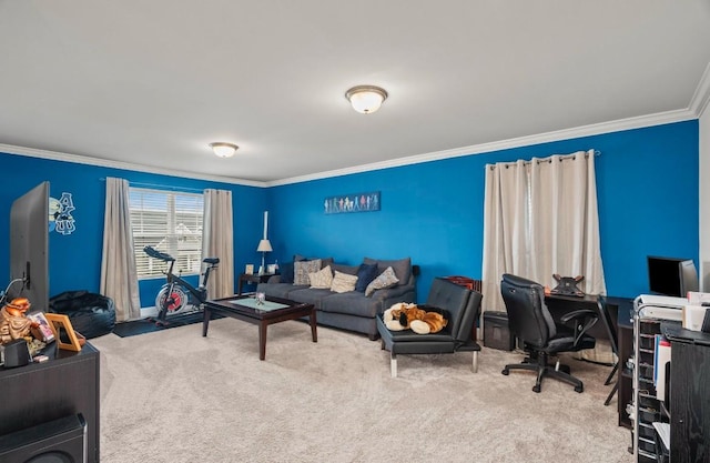 home office featuring crown molding and carpet flooring