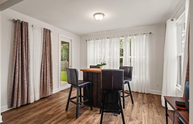 dining room featuring a wealth of natural light and dark hardwood / wood-style floors