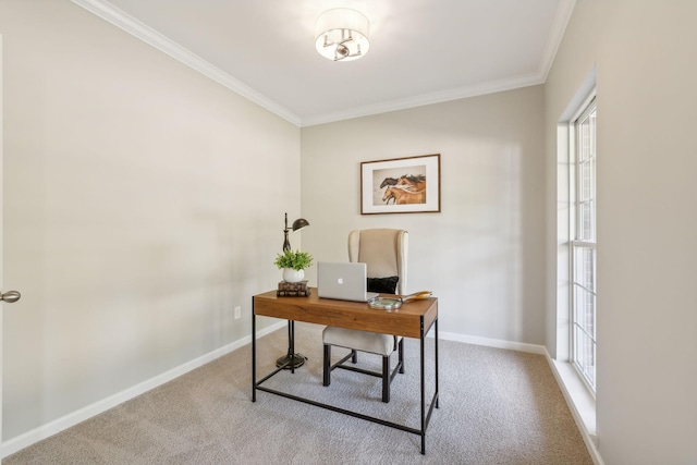 carpeted office space featuring crown molding