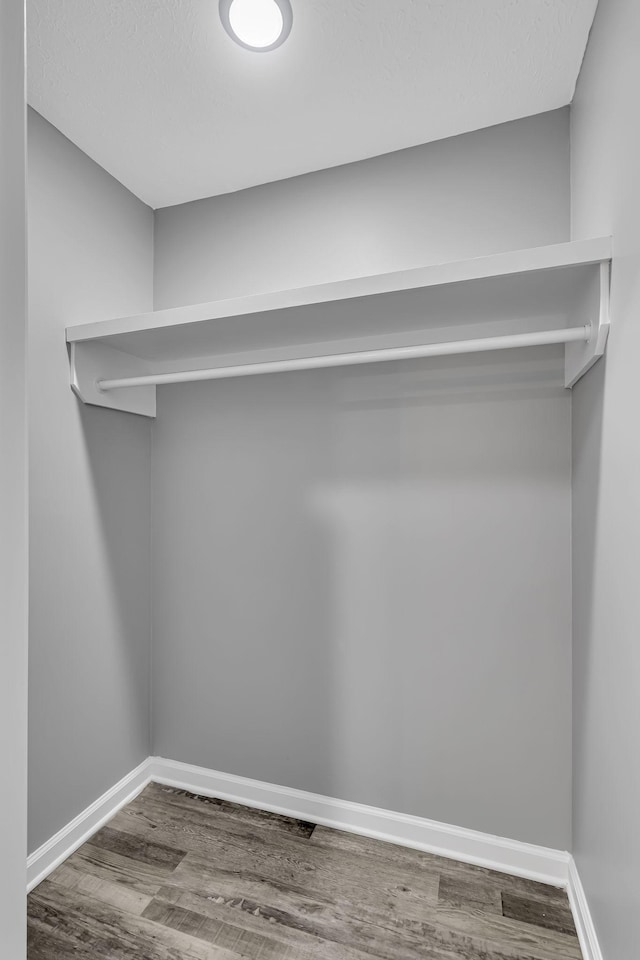 walk in closet with hardwood / wood-style flooring