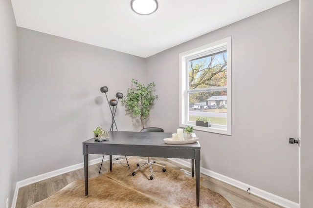 office space with hardwood / wood-style flooring