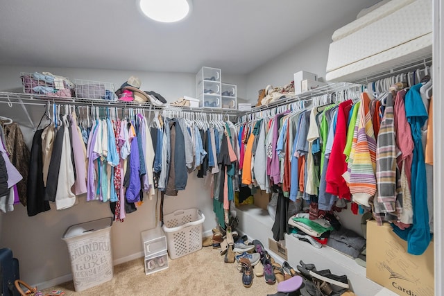 walk in closet featuring carpet