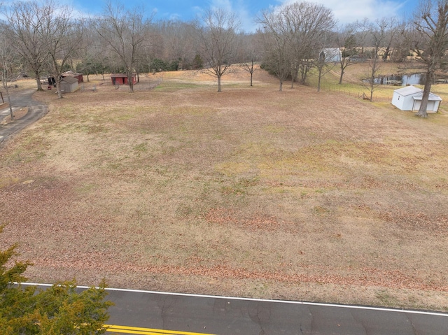 view of yard with a rural view