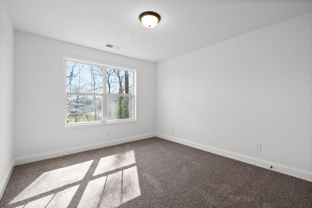 1225 Elizabeth Ln, Clarksville, TN 37042 - photo 24