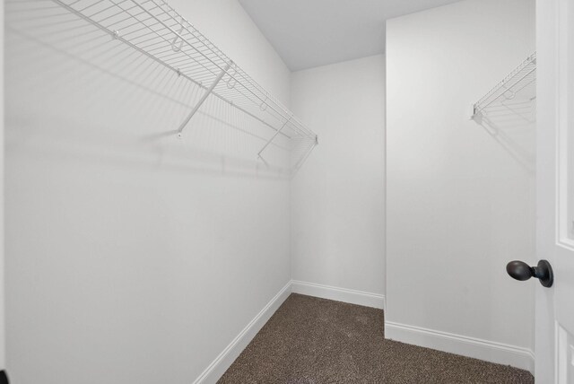 1225 Elizabeth Ln, Clarksville, TN 37042 - photo 21