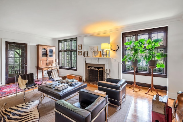 living room featuring light hardwood / wood-style flooring