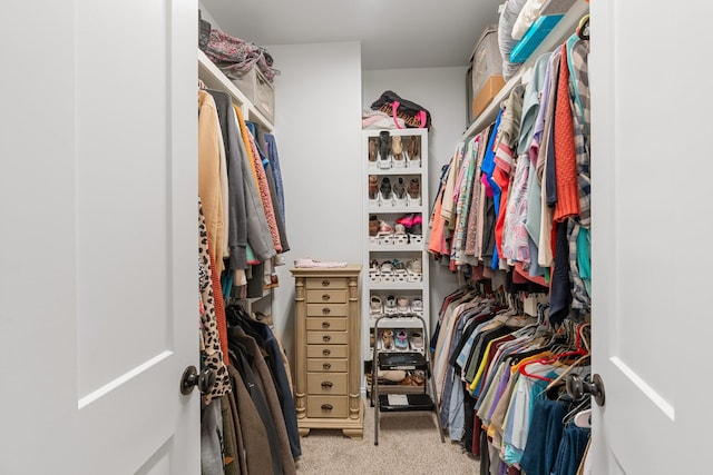 spacious closet with light colored carpet