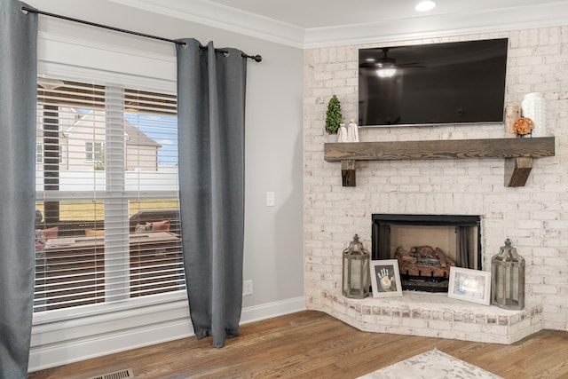 details featuring crown molding, wood-type flooring, and a fireplace