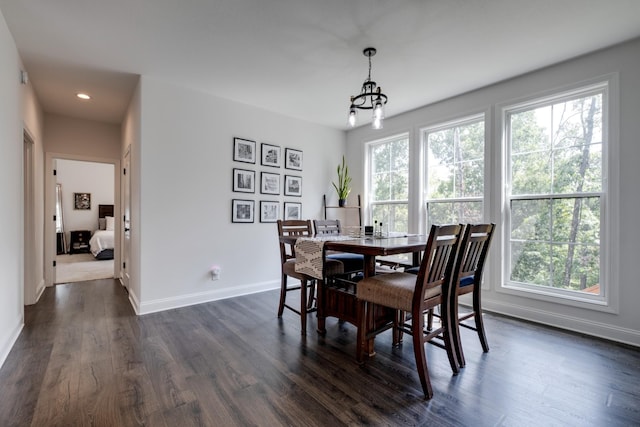 dining room featuring a notable chandelier and dark wood-type flooring