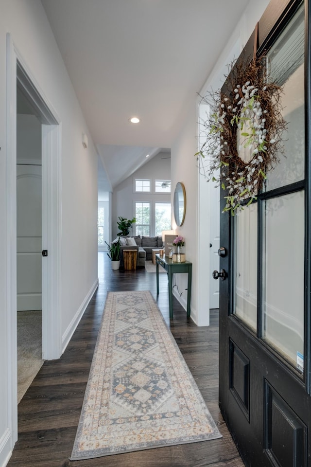 entrance foyer featuring lofted ceiling and dark wood-type flooring