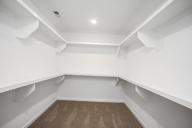 walk in closet featuring dark colored carpet