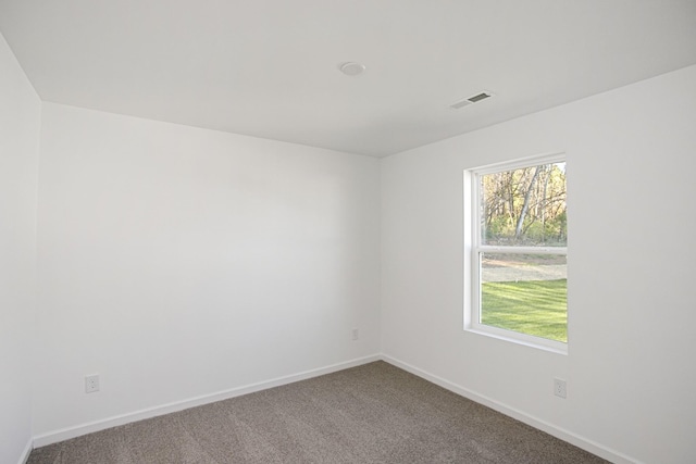 empty room featuring carpet