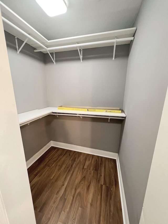 spacious closet with dark wood-type flooring