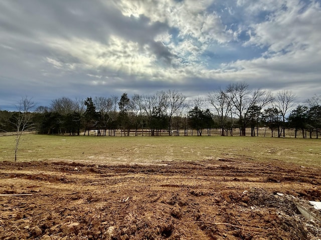 view of yard with a rural view