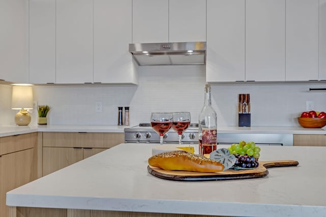 635 7th Ave S Unit 211, Nashville, TN 37203 - kitchen with under cabinet range hood, modern cabinets, decorative backsplash, light stone counters, and white cabinetry