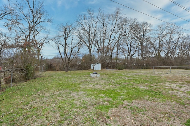 view of yard featuring a shed