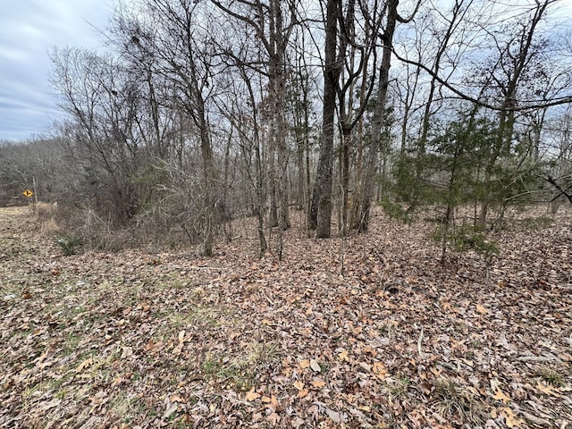 Listing photo 3 for 0 Alpine Rd, Camden TN 38320