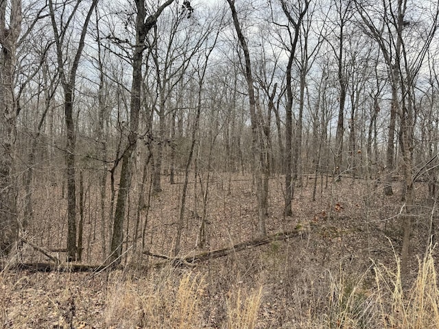 0 Alpine Rd, Camden, TN 38320
