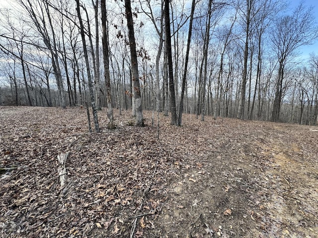 Listing photo 3 for 0 Red Dog Rd, Big Sandy TN 38221