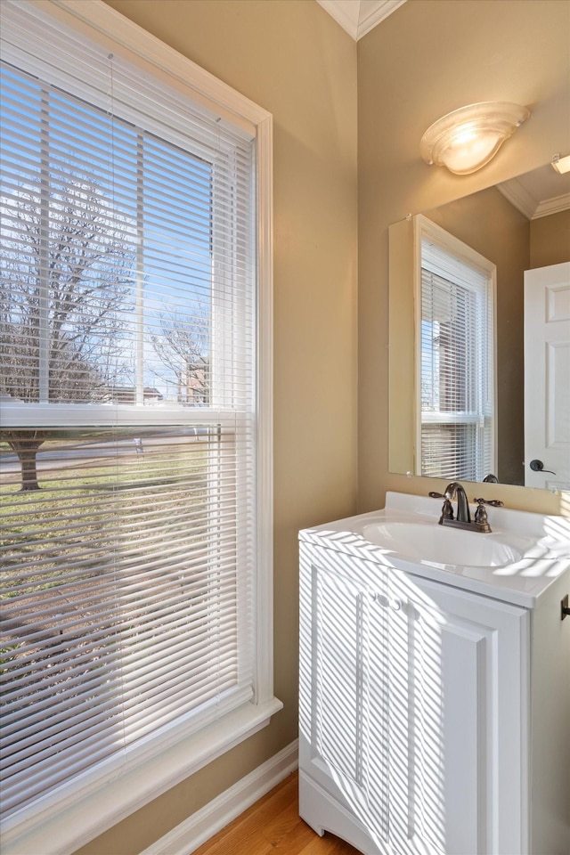 bathroom featuring wood-type flooring, vanity, and ornamental molding