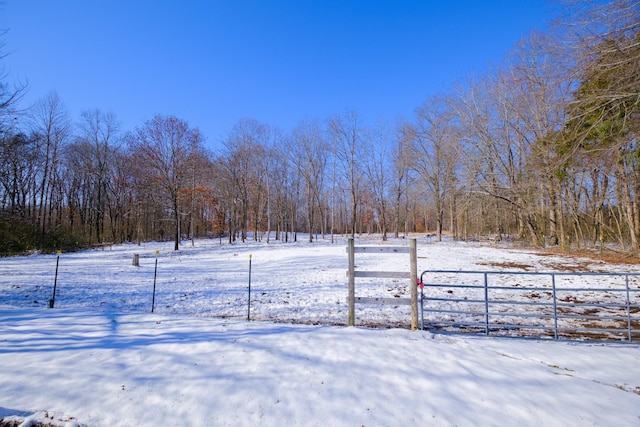 view of yard layered in snow