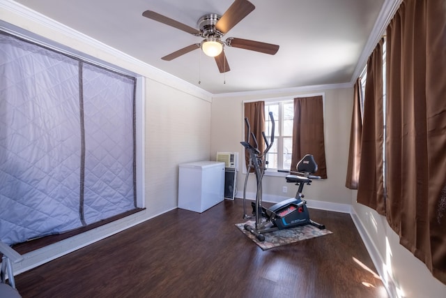 workout area featuring crown molding and dark wood-type flooring