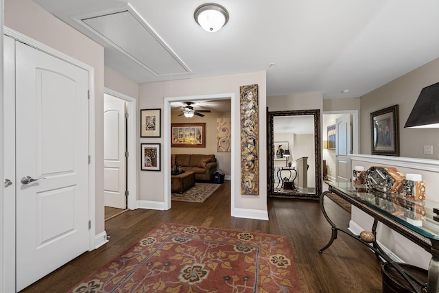 corridor featuring dark wood-type flooring