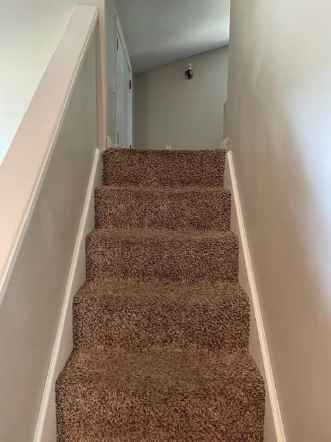 stairway with carpet flooring