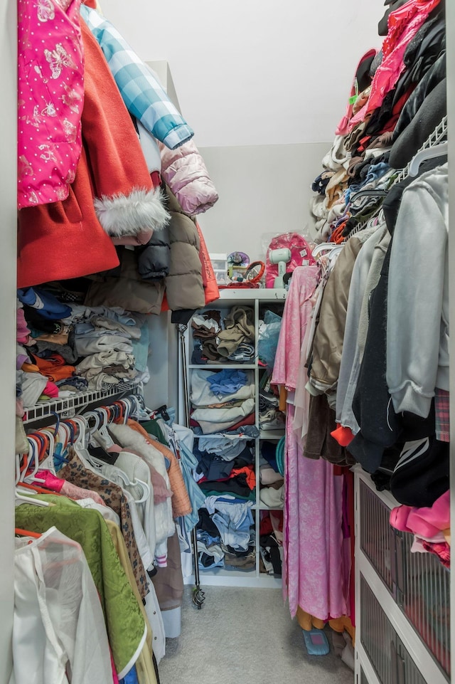 spacious closet featuring carpet