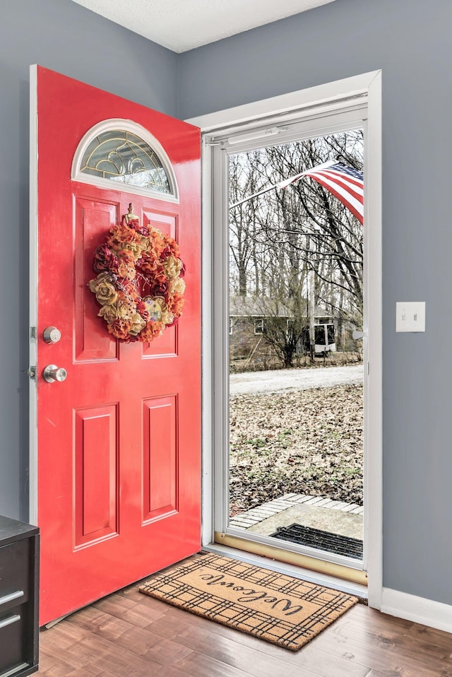 entryway featuring hardwood / wood-style flooring