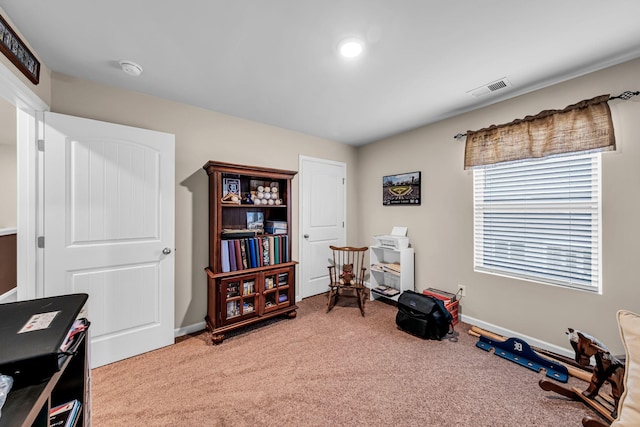 miscellaneous room with carpet