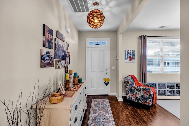 entrance foyer featuring dark hardwood / wood-style flooring