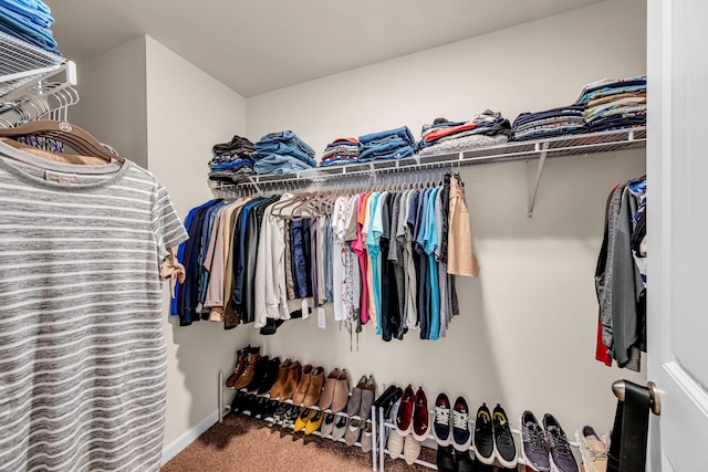 spacious closet featuring carpet flooring